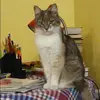 Отзыв от Галя Антипова